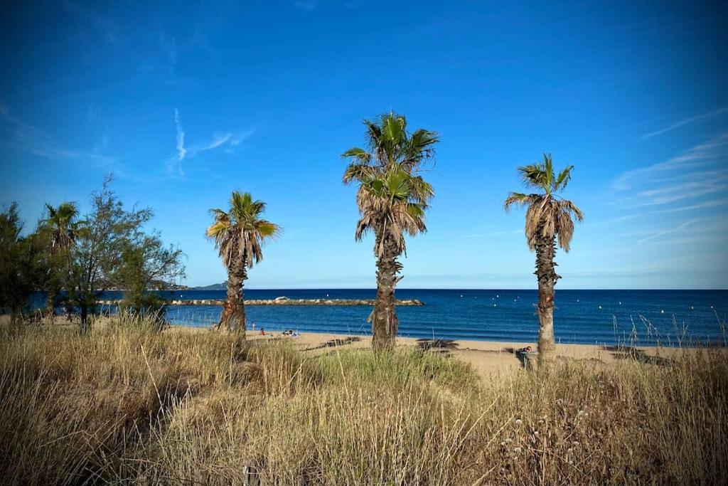 Port-Frejus, Le Paladien, Appartement 2 Pieces Climatise, Terrasse & Parking 외부 사진